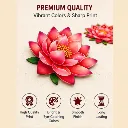 5.webp